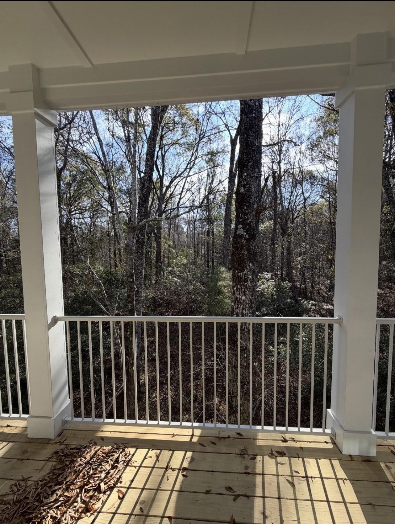 191 Carlisle Way Photo 20