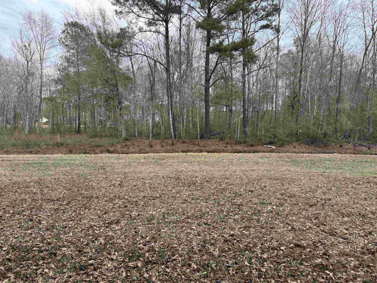 191 Carlisle Way Photo 44