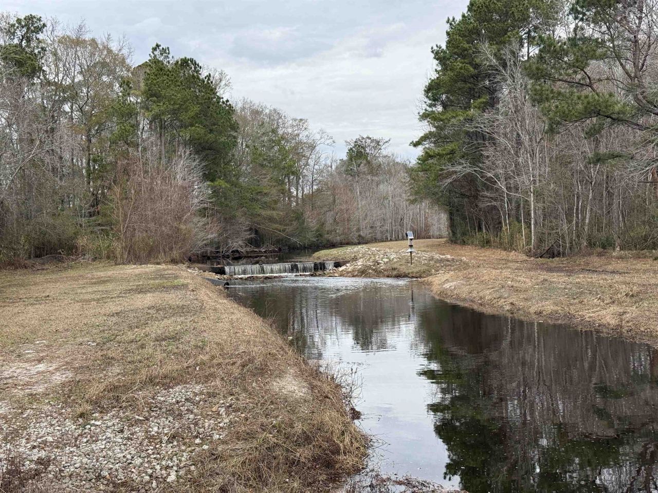 191 Carlisle Way Photo 45