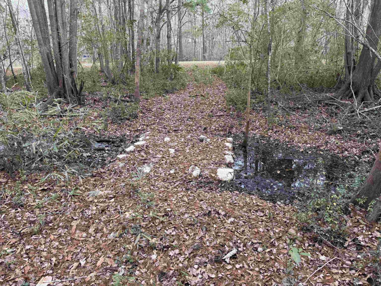 191 Carlisle Way Photo 48