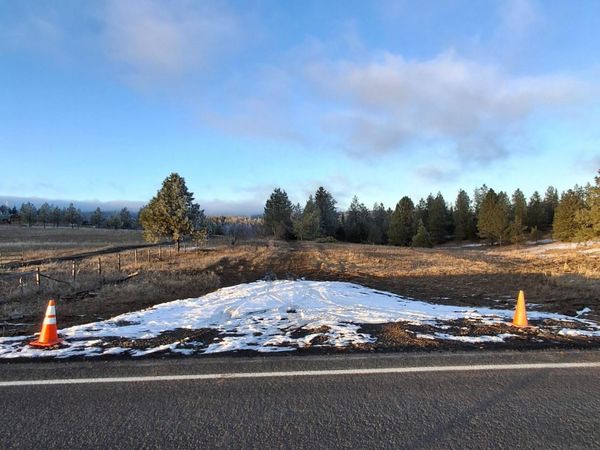 TBD Freeeman Creek, Lenore, ID 83541