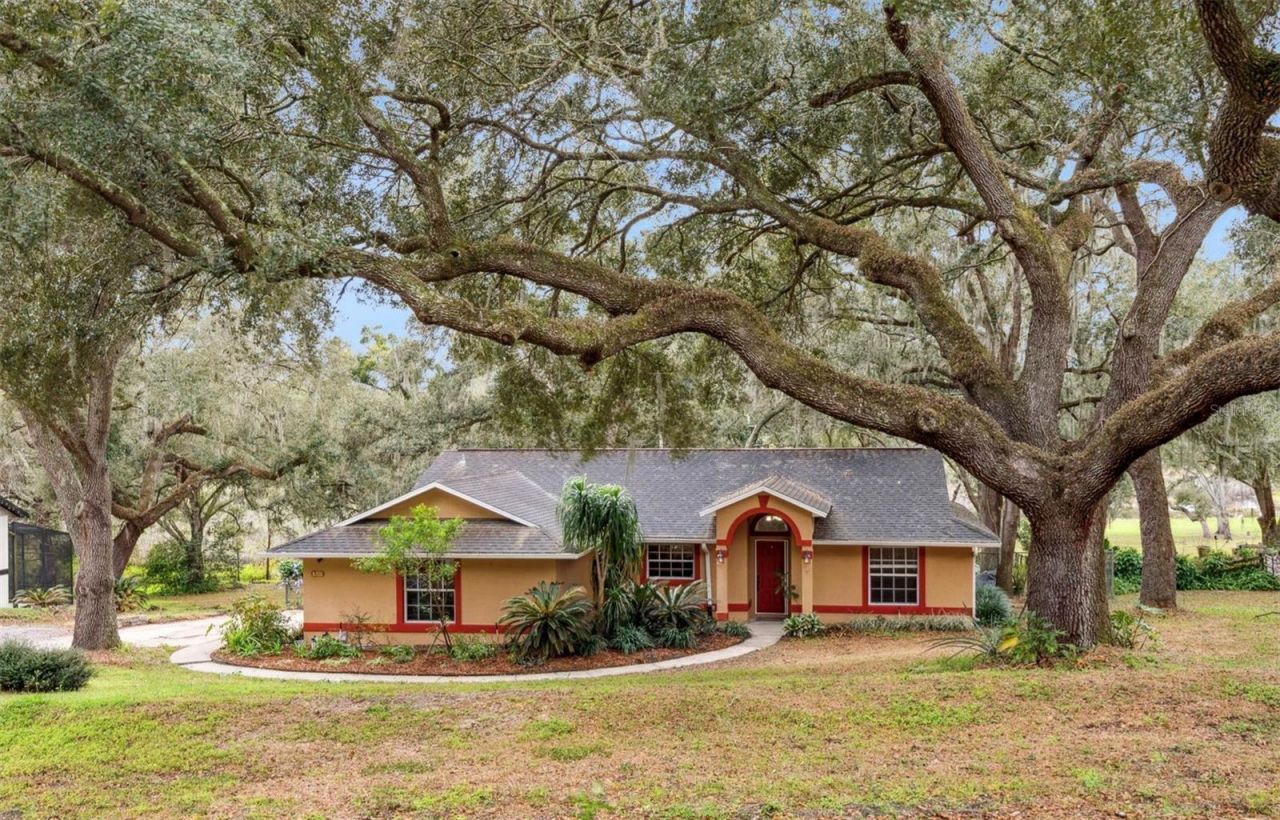 30911 Vista View, Mount Dora, FL 32757 Main Photo