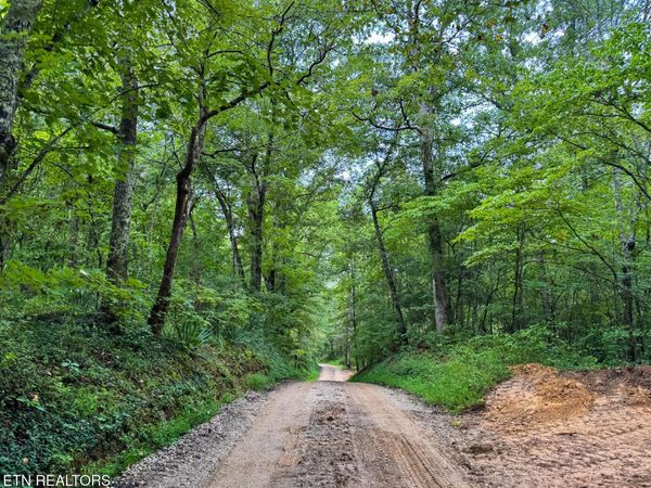 Sheep Ranch Rd. , Robbins, TN 37852