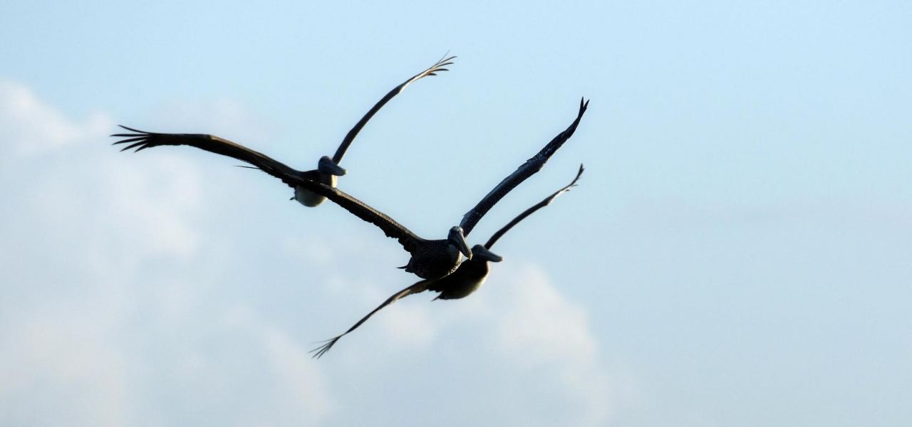 9833 SW Isabelline Drive, Port Saint Lucie, FL 34987 Photo