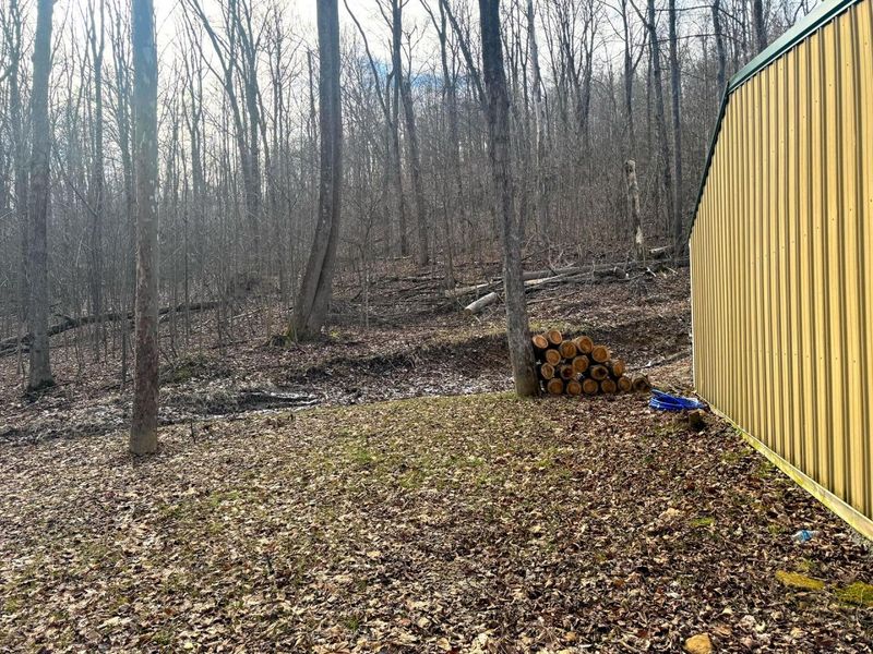 201 Pike Lake Rd Road , Unit (Tract 3 B, Bainbridge, OH 45612 Photo 10