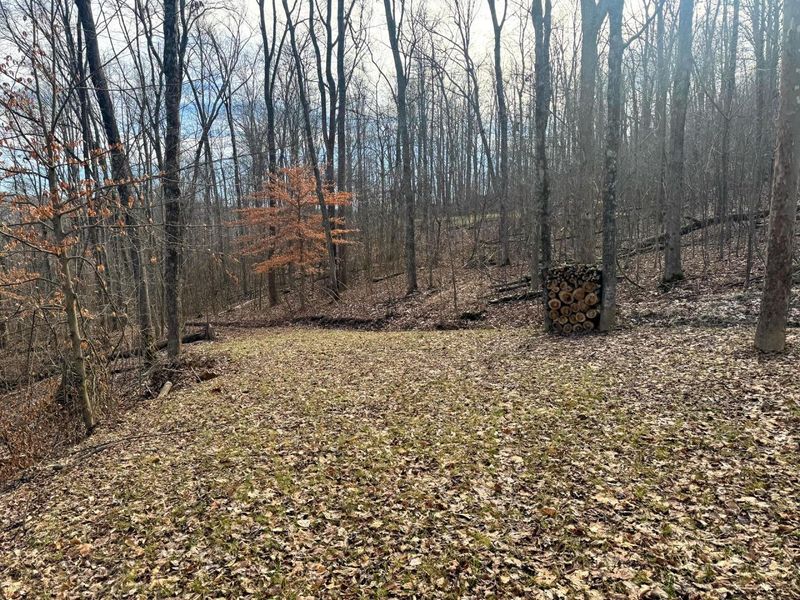 201 Pike Lake Rd Road , Unit (Tract 3 B, Bainbridge, OH 45612 Photo 11