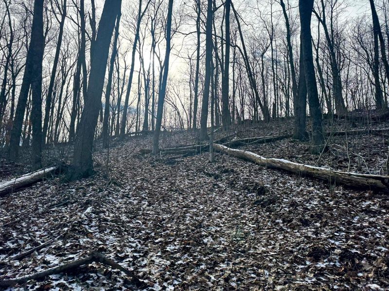 201 Pike Lake Rd Road , Unit (Tract 3 B, Bainbridge, OH 45612 Photo 13