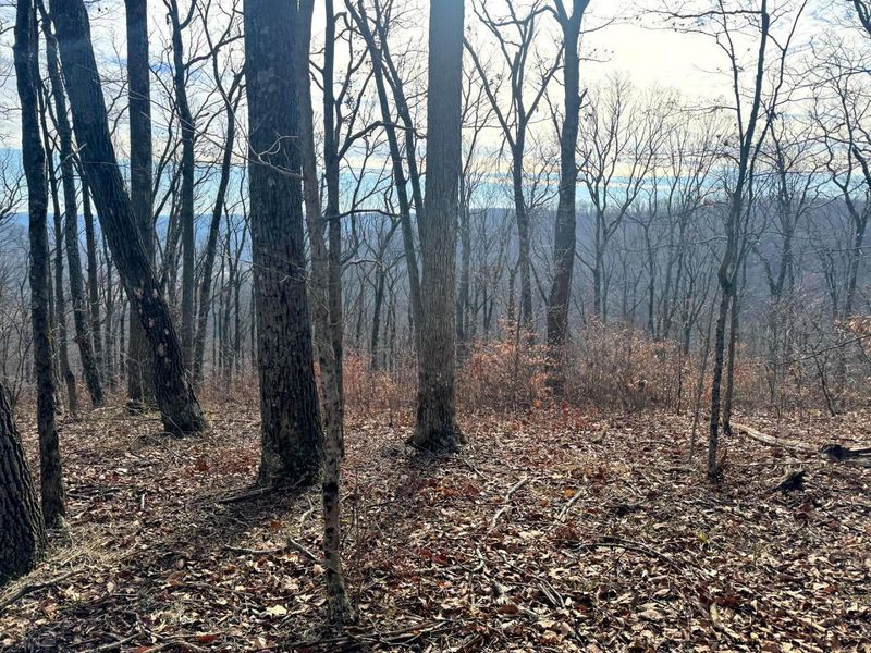 201 Pike Lake Rd Road , Unit (Tract 3 B, Bainbridge, OH 45612 Photo 14