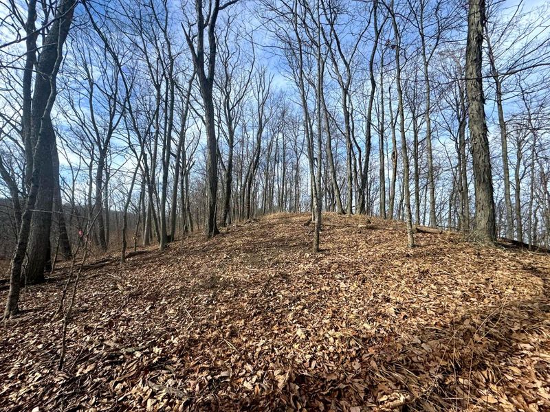 201 Pike Lake Rd Road , Unit (Tract 3 B, Bainbridge, OH 45612 Photo 15