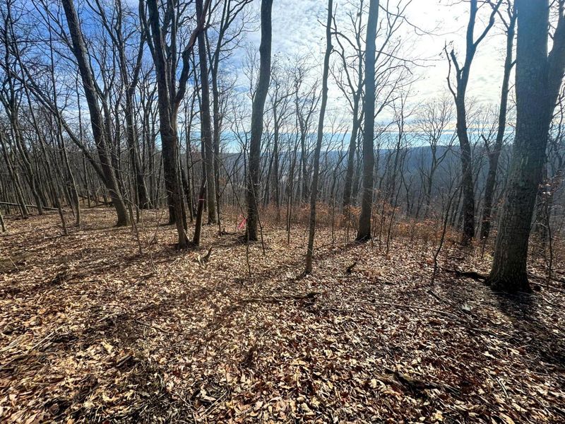 201 Pike Lake Rd Road , Unit (Tract 3 B, Bainbridge, OH 45612 Photo 16