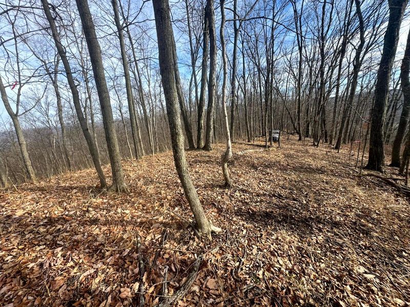 201 Pike Lake Rd Road , Unit (Tract 3 B, Bainbridge, OH 45612 Photo 17