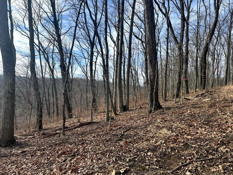 201 Pike Lake Rd Road , Unit (Tract 3 B, Bainbridge, OH 45612 Photo 18