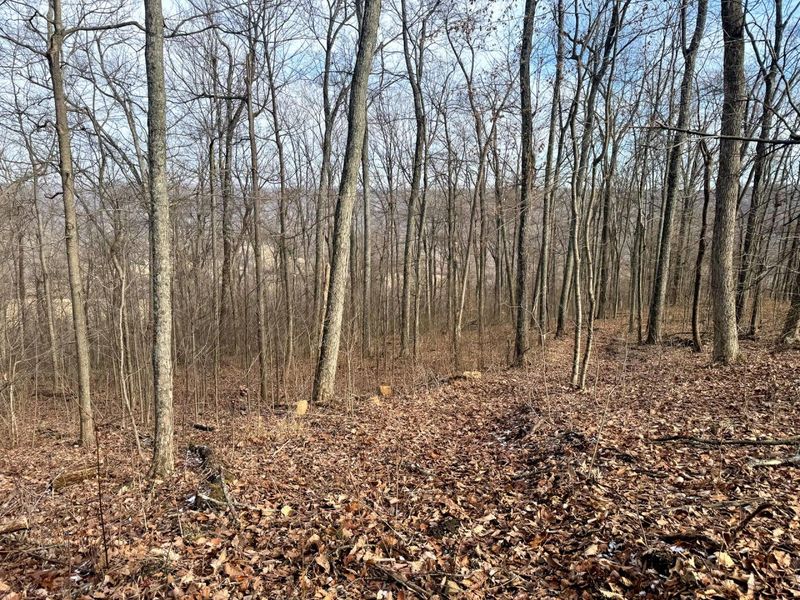 201 Pike Lake Rd Road , Unit (Tract 3 B, Bainbridge, OH 45612 Photo 19