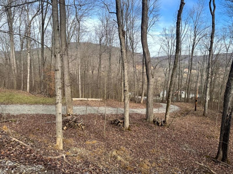 201 Pike Lake Rd Road , Unit (Tract 3 B, Bainbridge, OH 45612 Photo 2