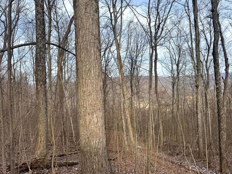 201 Pike Lake Rd Road , Unit (Tract 3 B, Bainbridge, OH 45612 Photo 20