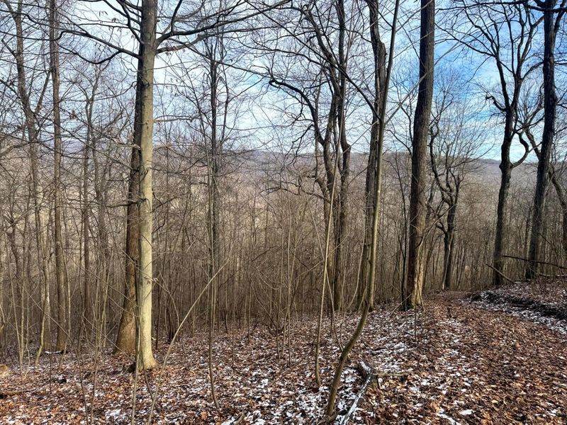 201 Pike Lake Rd Road , Unit (Tract 3 B, Bainbridge, OH 45612 Photo 21