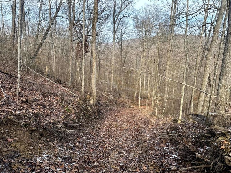 201 Pike Lake Rd Road , Unit (Tract 3 B, Bainbridge, OH 45612 Photo 22