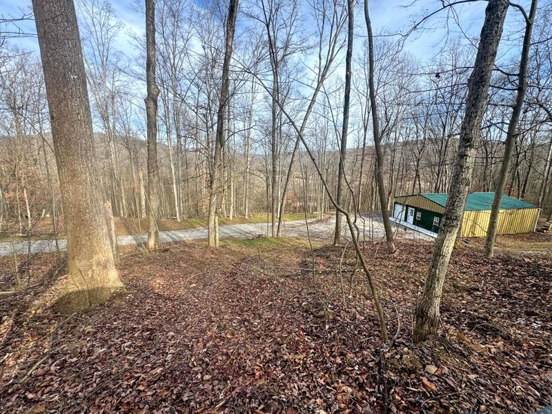 201 Pike Lake Rd Road , Unit (Tract 3 B, Bainbridge, OH 45612 Photo 25