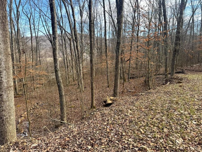 201 Pike Lake Rd Road , Unit (Tract 3 B, Bainbridge, OH 45612 Photo 28