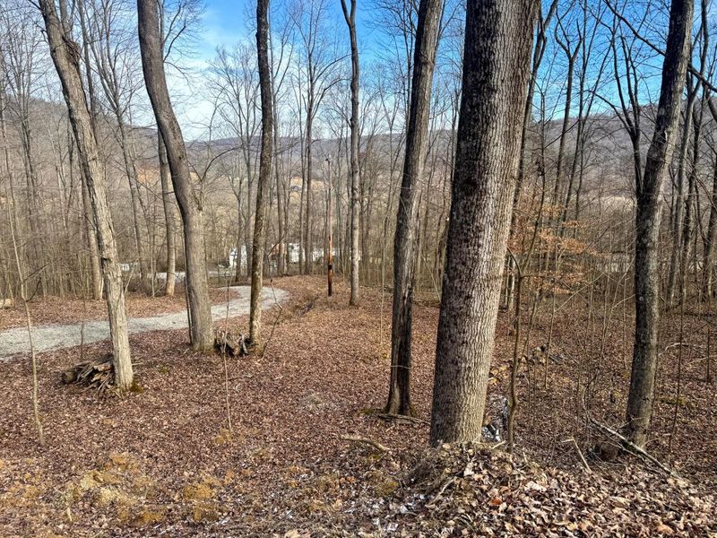 201 Pike Lake Rd Road , Unit (Tract 3 B, Bainbridge, OH 45612 Photo 29