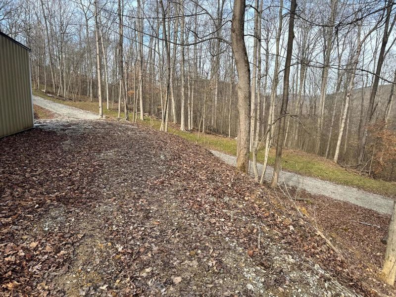 201 Pike Lake Rd Road , Unit (Tract 3 B, Bainbridge, OH 45612 Photo 3