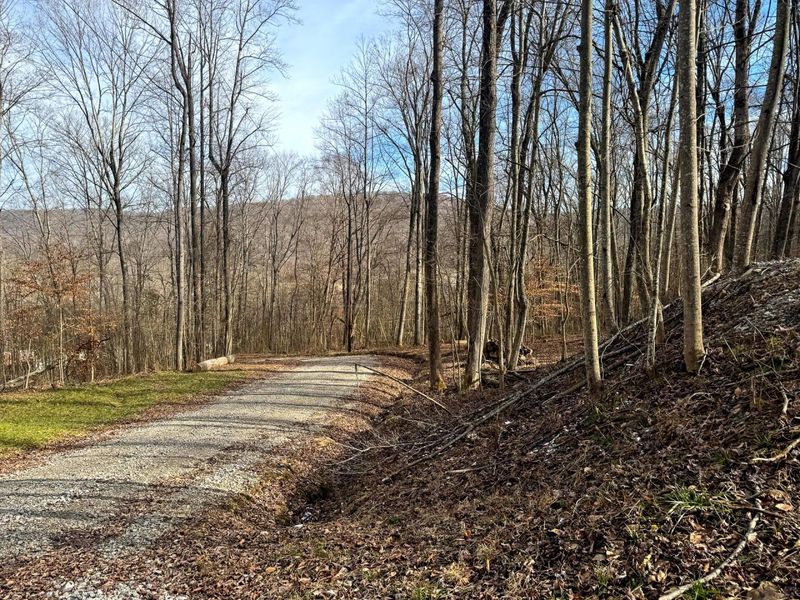 201 Pike Lake Rd Road , Unit (Tract 3 B, Bainbridge, OH 45612 Photo 30