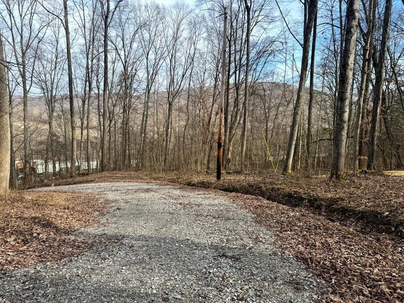 201 Pike Lake Rd Road , Unit (Tract 3 B, Bainbridge, OH 45612 Photo 31
