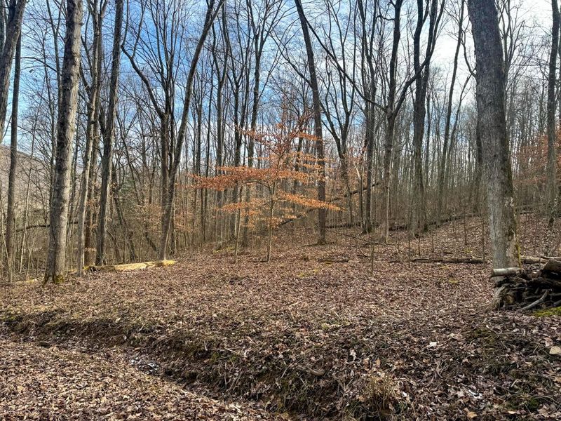 201 Pike Lake Rd Road , Unit (Tract 3 B, Bainbridge, OH 45612 Photo 32