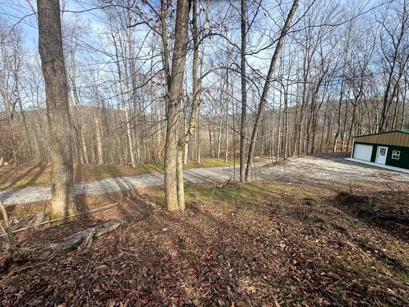 201 Pike Lake Rd Road , Unit (Tract 3 B, Bainbridge, OH 45612 Photo 4