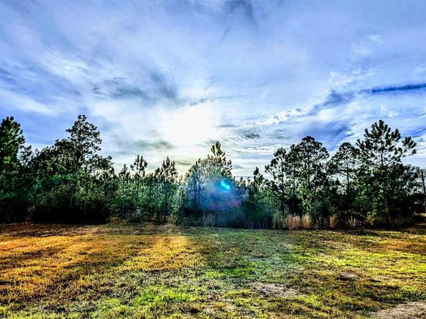 0 Royal Ln, Unit Lot 1, Elberta, AL 36530