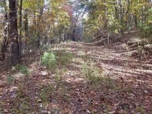 00 Tammy Trail, Spring City, TN 37381