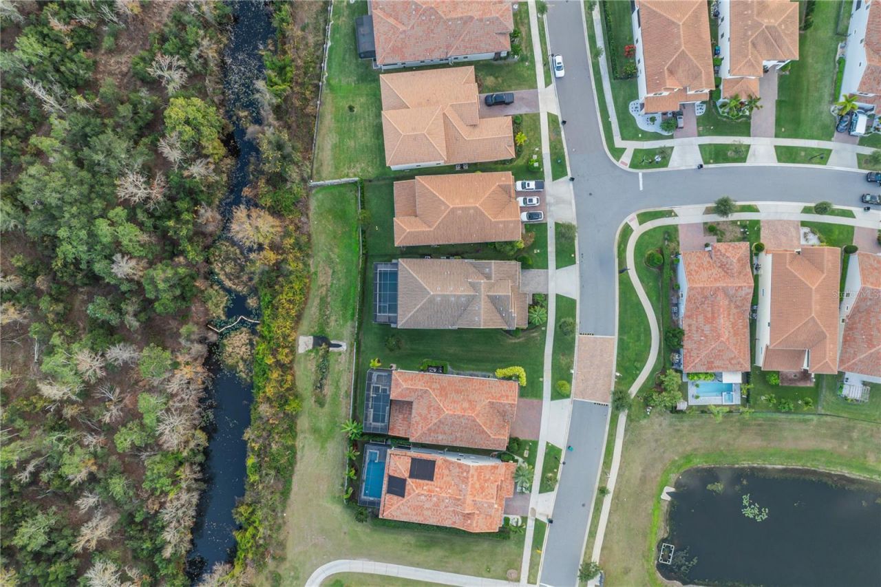 13415 Alderley Drive, Orlando, FL 32832 Photo