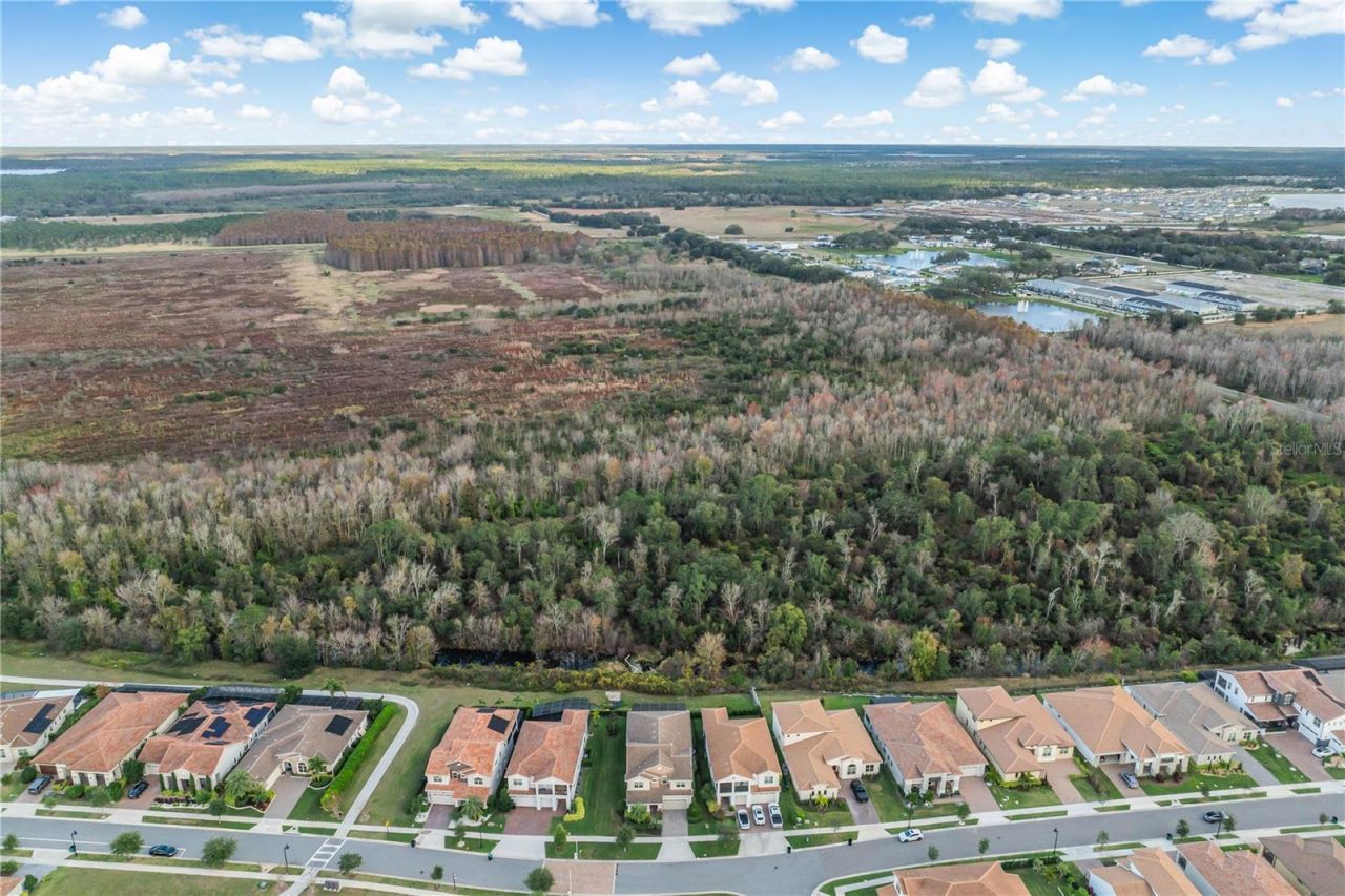 13415 Alderley Drive, Orlando, FL 32832 Photo