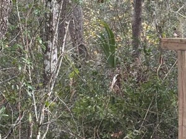 5670 WEST STREET, DE LEON SPRINGS, FL 32130