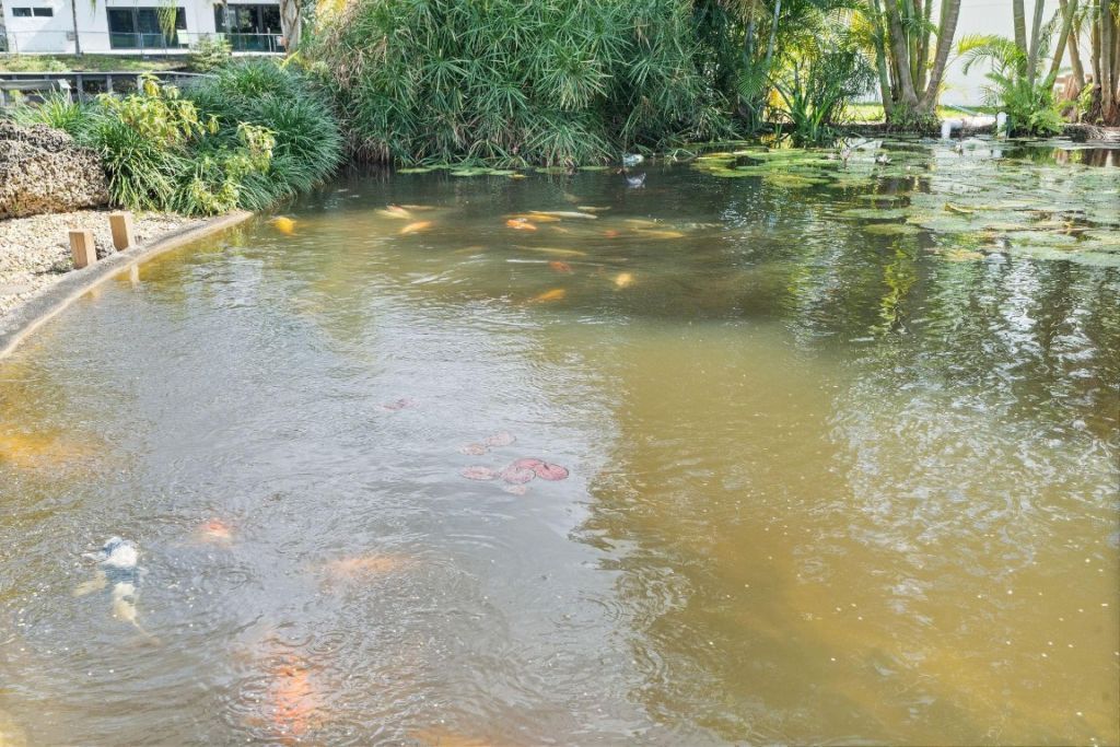 700 S Old Nob Hill Road, Plantation, FL 33324 Photo