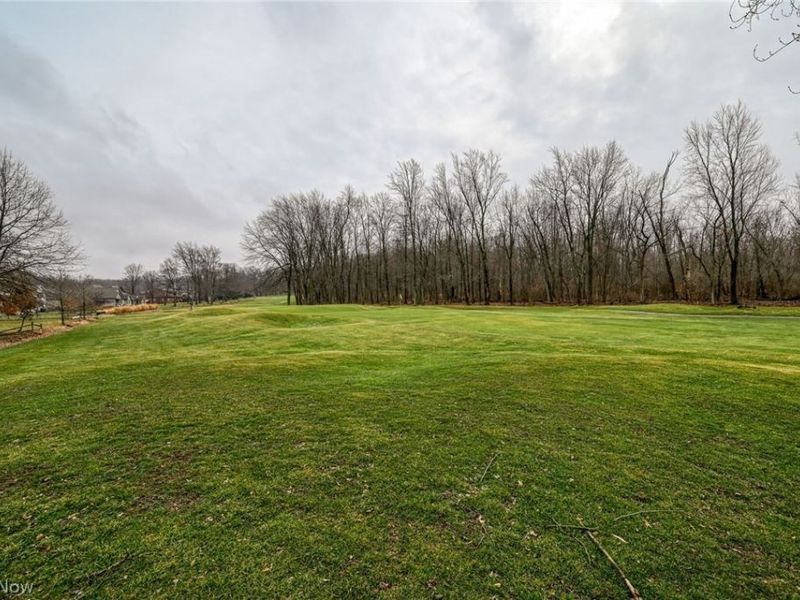 1238 Maxfli Drive, Akron, OH 44312 Photo 46