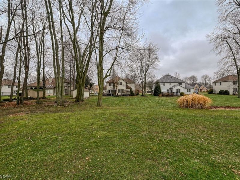 1238 Maxfli Drive, Akron, OH 44312 Photo 47