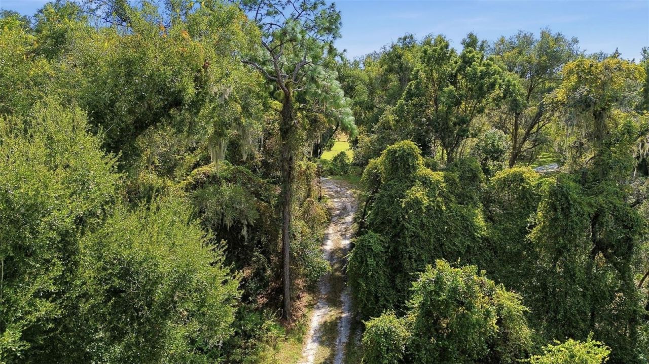 5505 Cr 634s, Bushnell, FL 33513 Photo