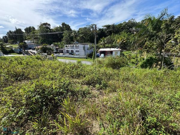 Km. 1.5 SOLAR DE 5,895 M² EN BO. QUEBRADA, CA, Camuy, PR 00627