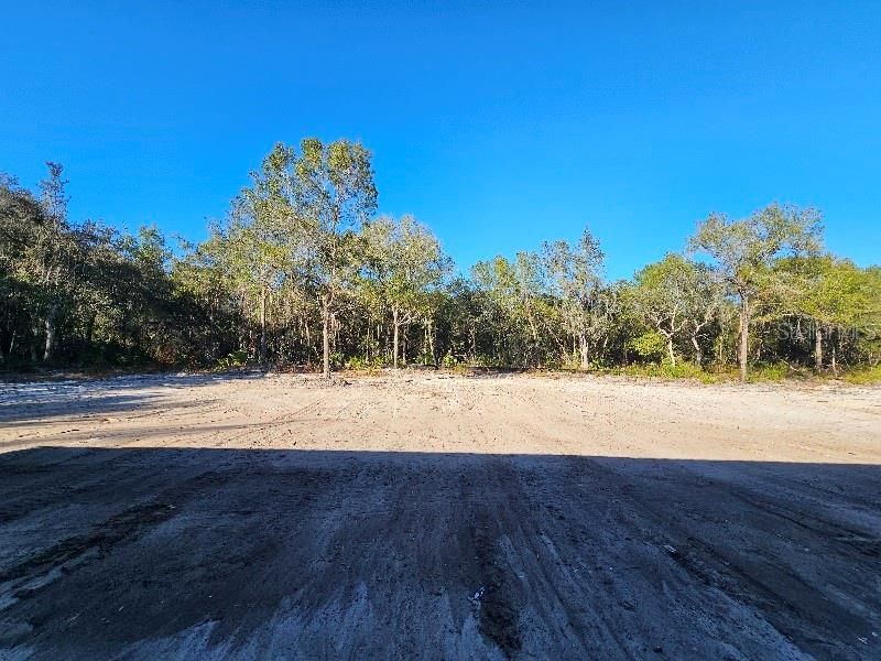 1619 Magnolia Avenue, Deland, FL 32724 Photo