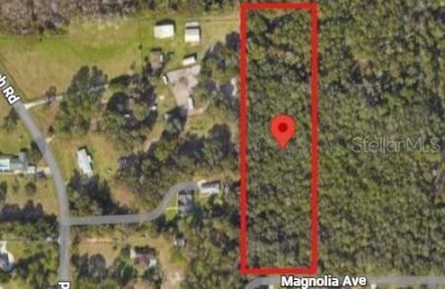 1619 Magnolia Avenue, Deland, FL 32724 Photo