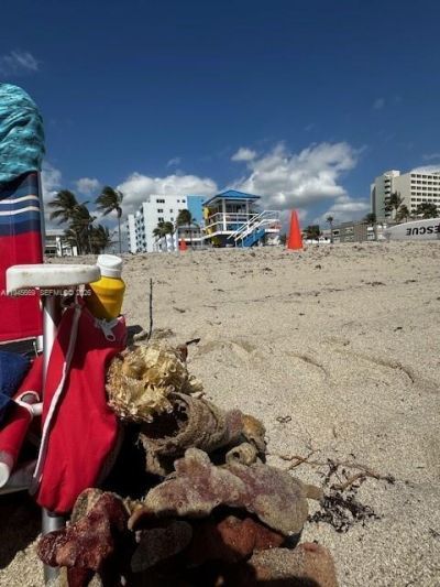 320 S Surf Rd, Unit 305, Hollywood, FL 33019 Photo