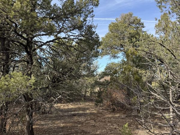 90 Candelaria Road , Tijeras, NM 87059