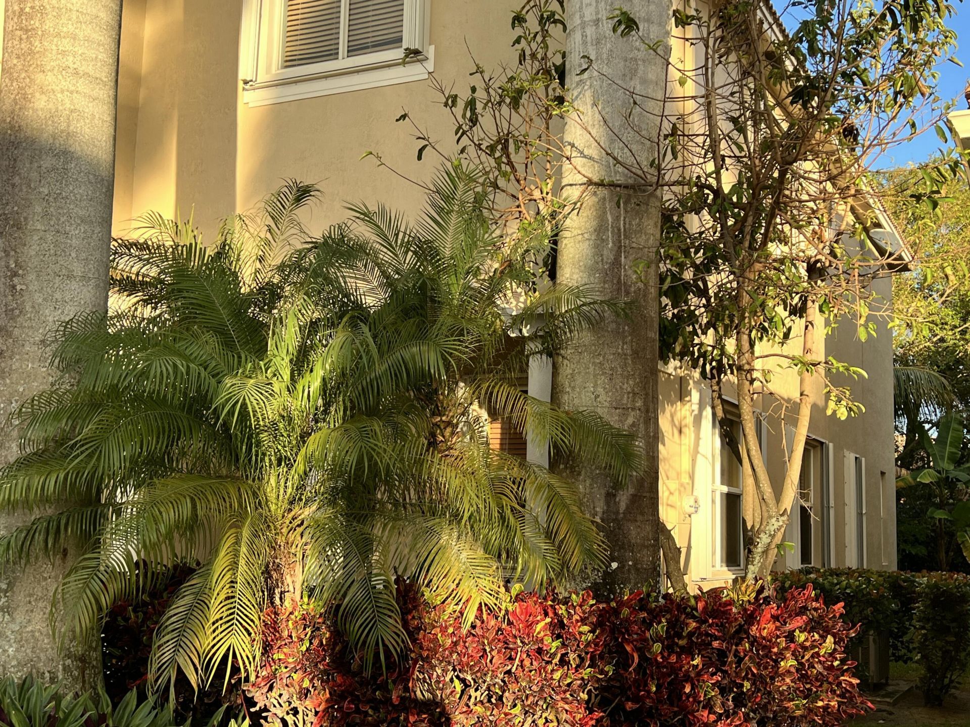 4350 Key Lime Boulevard, Boynton Beach, FL 33436 Photo