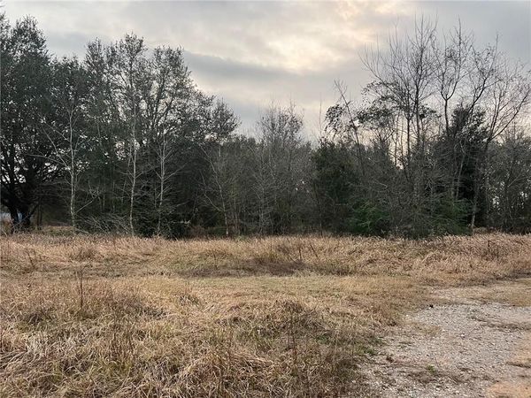 0 Winner Drive, Grand Bay, AL 36541