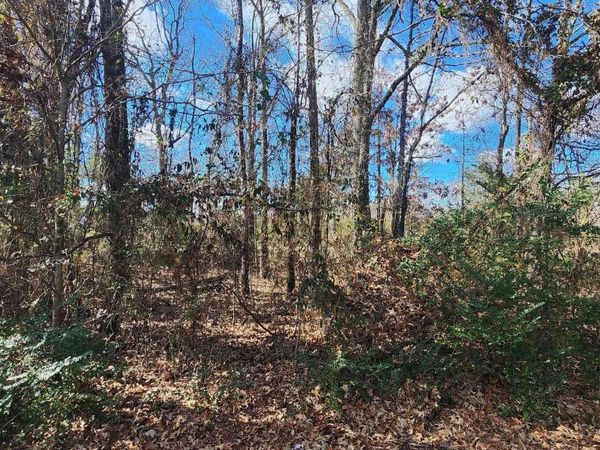 Lot 107 Southhaven Avenue, Cabot, AR 72023