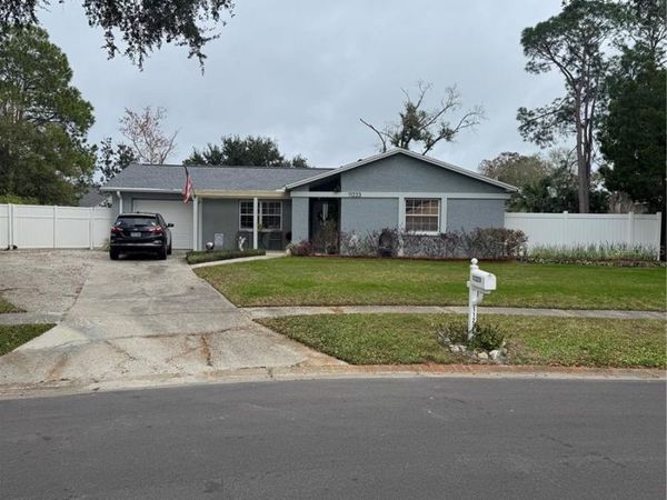 11223 WHEELING DRIVE, TAMPA, FL 33625