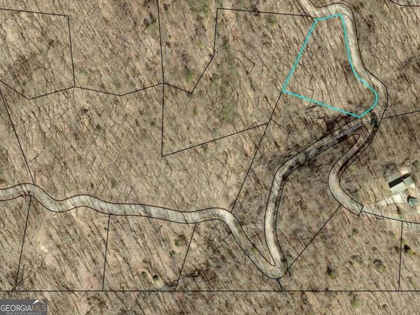 1.01 AC Heards Ridge, Morganton, GA 30560