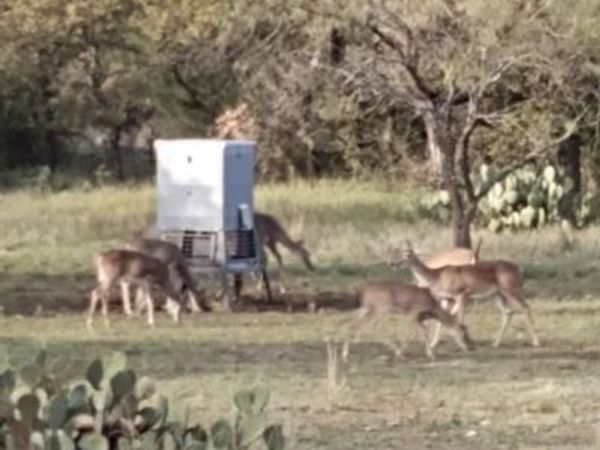 000 County Road 152, Brady, TX 76825