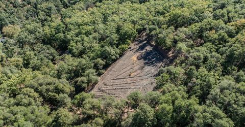 16300 Rossbridge Rd, Jackson, CA 95642 Photo